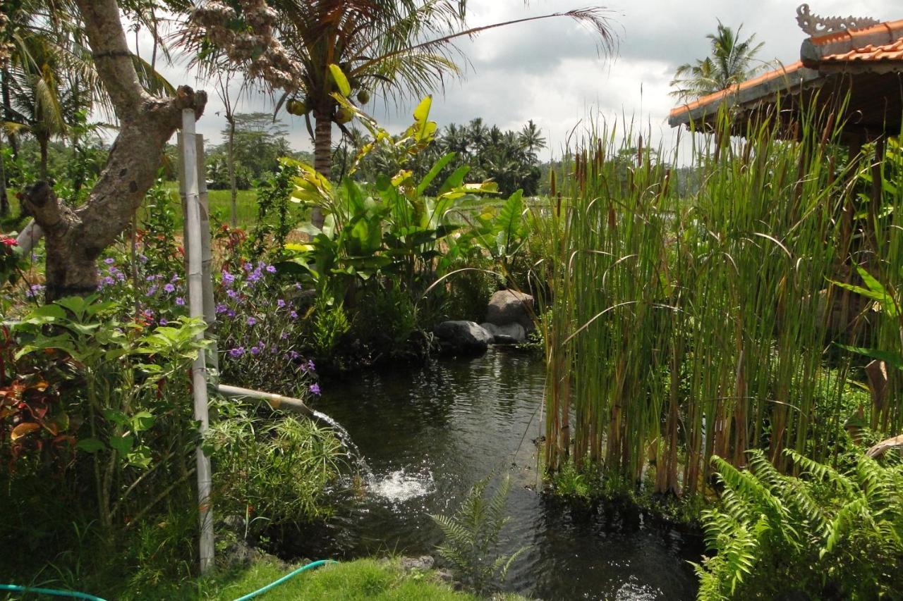 ホテル Bali Sawah Indah ウブド エクステリア 写真