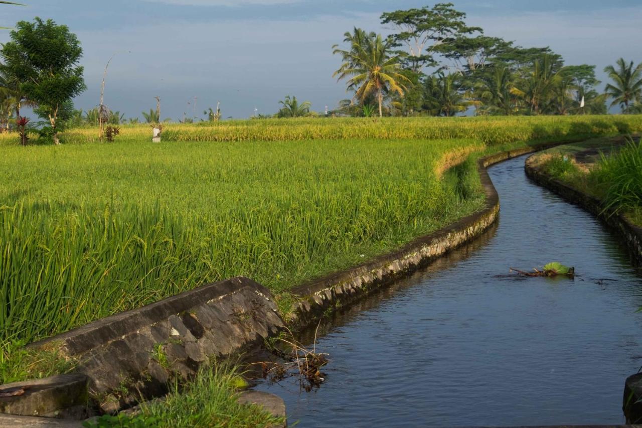 ホテル Bali Sawah Indah ウブド エクステリア 写真